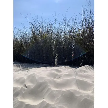 Deichlodge *